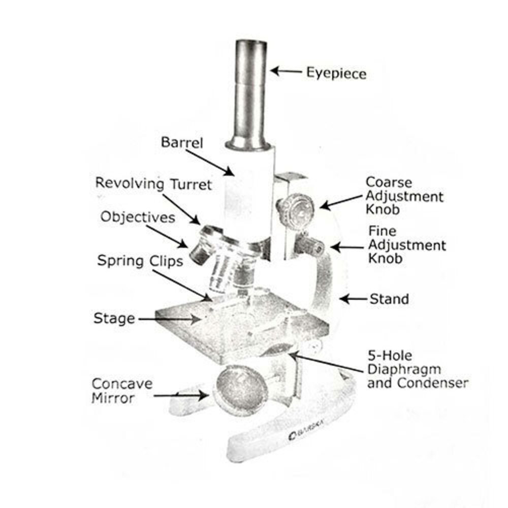 Barska 40X, 100X, 400X Monocular Compound Microscope Biological/Medical