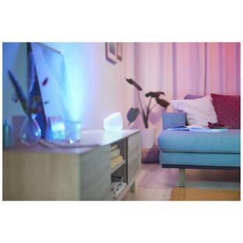 /assets/alt_10/WIZWCASQUIRE.jpg?20251229163225