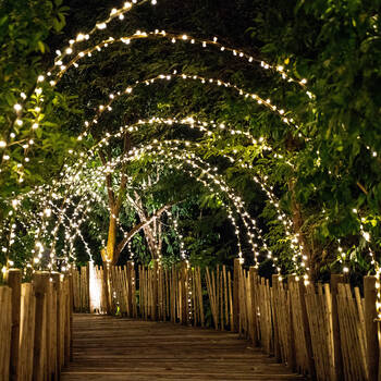 /assets/alt_1/10004657.jpg?20250424124834