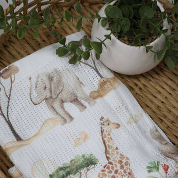 /assets/alt_1/17758.jpg?20250411140208