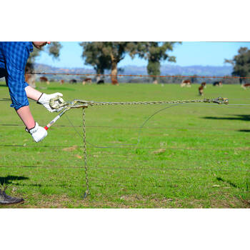 /assets/alt_1/180110.jpg?20250917110404