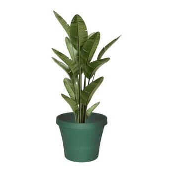 /assets/alt_1/1971702.jpg?20260324140045