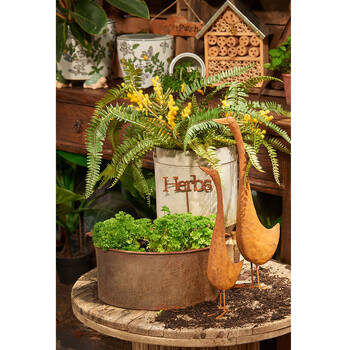 /assets/alt_1/21144.jpg?20241213162705