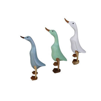 /assets/alt_1/21953.jpg?20250430150154