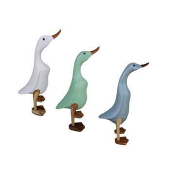 /assets/alt_1/21960.jpg?20250430150255