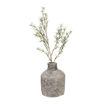 /assets/alt_1/25562_2PK.jpg?20230810142113