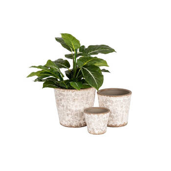 /assets/alt_1/29690.jpg?20250827153327