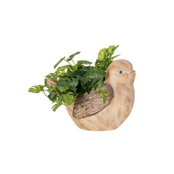 /assets/alt_1/29904.jpg?20250827153100