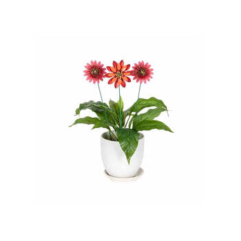 /assets/alt_1/30856.jpg?20250827153332