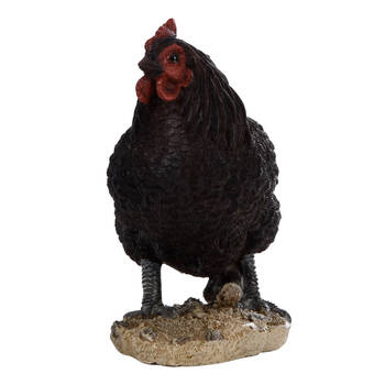 /assets/alt_1/37000048.jpg?20250704095214