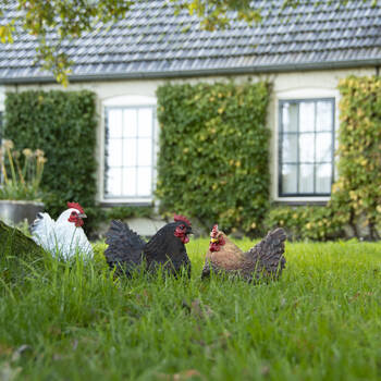 /assets/alt_1/37000155.jpg?20250704095004