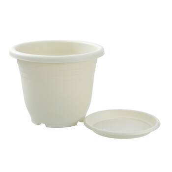 /assets/alt_1/47634.jpg?20250501165244