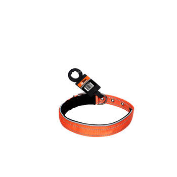 /assets/alt_1/500886.jpg?20250911130235