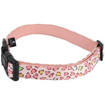 /assets/alt_1/510953_2PK.jpg?20251222154917