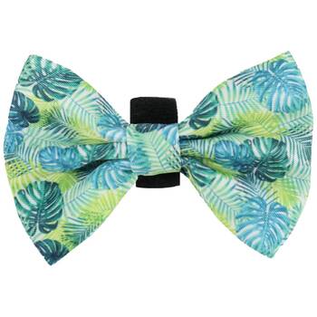 /assets/alt_1/510958_3PK.jpg?20251222154904