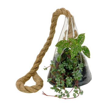 /assets/alt_1/521TCS.jpg?20250120115753