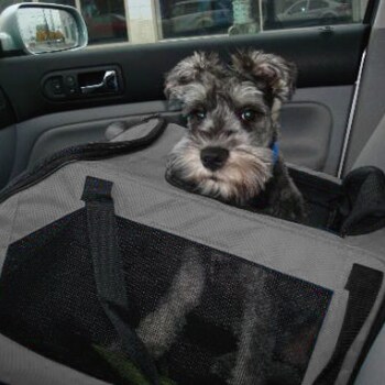 Large View /assets/alt_1/64665.jpg?20210708200045