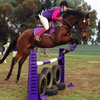 /assets/alt_1/780119.jpg?20250910121712