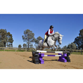 /assets/alt_1/780153.jpg?20250910121736