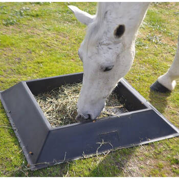 /assets/alt_1/780272.jpg?20250910121546