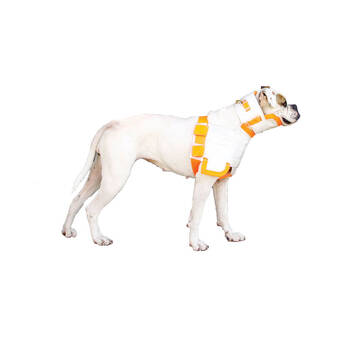 /assets/alt_1/AC0190-L.jpg?20250827091711