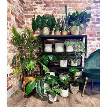 /assets/alt_1/AD0818.jpg?20260209104528