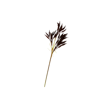 /assets/alt_1/AD1049_3PK.jpg?20240813100119