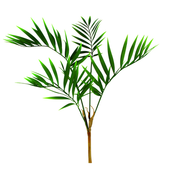 /assets/alt_1/AD1460_2PK.jpg?20231106153306