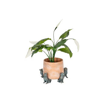 /assets/alt_1/AG-30795.jpg?20250827153216