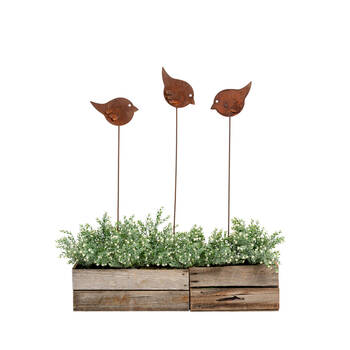 /assets/alt_1/AG-31235.jpg?20250827153053