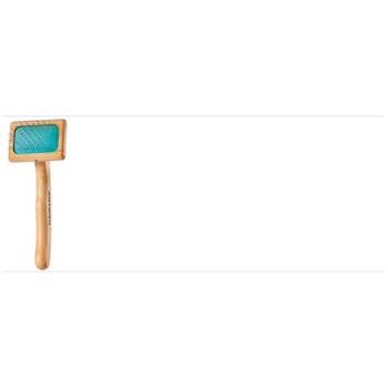 /assets/alt_1/ANCSSXS.jpg?20251222163038