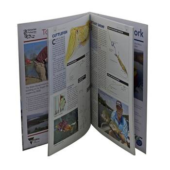 /assets/alt_1/B3584.jpg?20250423120504