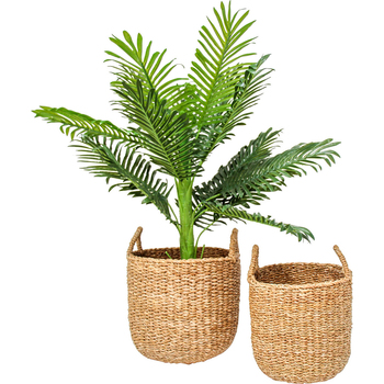 /assets/alt_1/BD4000-1.jpg?20240108103507