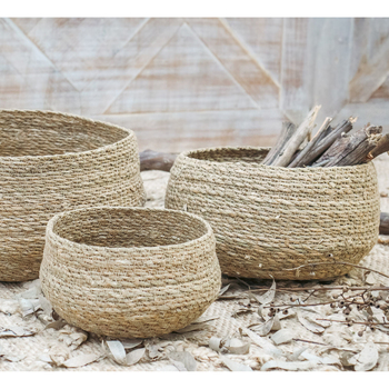 /assets/alt_1/BD4027-1.jpg?20240108103114