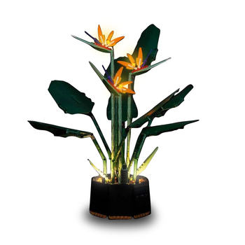 /assets/alt_1/BIRDOFPARADISE-10289.jpg?20240828083202