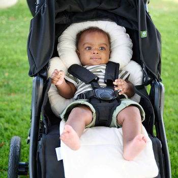 /assets/alt_1/BRORG-IN01.jpg?20230424113024