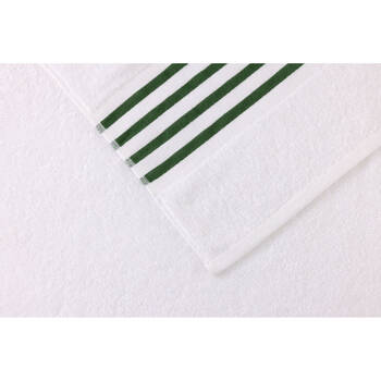 /assets/alt_1/BT4862VER70X140.jpg?20250408090137