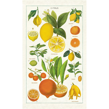 /assets/alt_1/C-TT-CITRUS_2PK.jpg?20240917151712