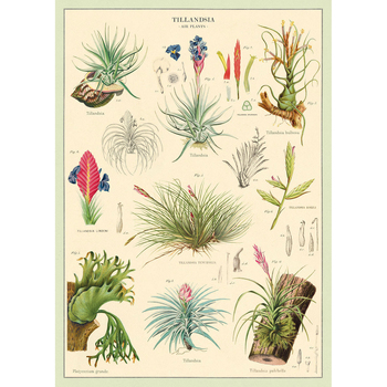 /assets/alt_1/C-WRAP-AP_3PK.jpg?20240913163320