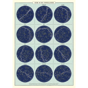 /assets/alt_1/C-WRAP-CONST_6PK.jpg?20240913163505