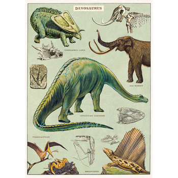 /assets/alt_1/C-WRAP-DINO_6PK.jpg?20240913163120
