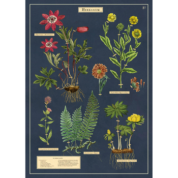 /assets/alt_1/C-WRAP-HERBARIUM_3PK.jpg?20240913163351