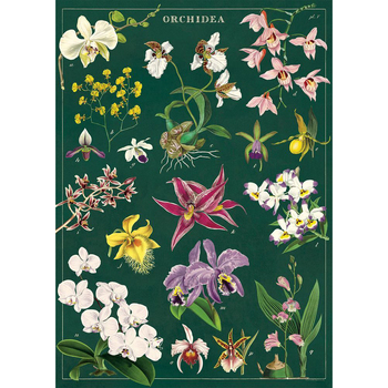 /assets/alt_1/C-WRAP-ORCHID_6PK.jpg?20240913163704