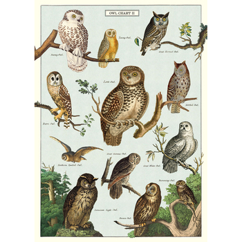 /assets/alt_1/C-WRAP-OWLCHT_3PK.jpg?20240913163744