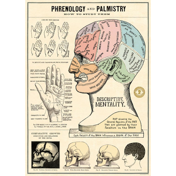 /assets/alt_1/C-WRAP-PP_3PK.jpg?20240913163808