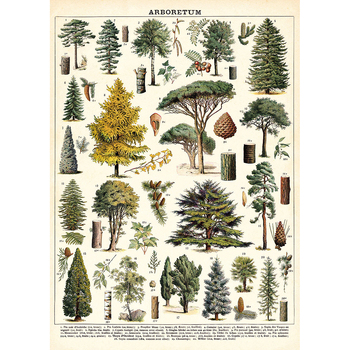 /assets/alt_1/C-WRAP-TREE_6PK.jpg?20240913163417
