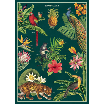 /assets/alt_1/C-WRAP-TROPICAL_3PK.jpg?20240913163331