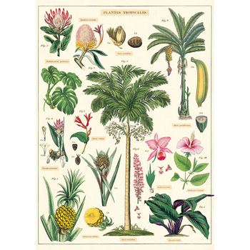 /assets/alt_1/C-WRAP-TROP_6PK.jpg?20240913163657