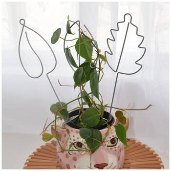 /assets/alt_1/CHW-52072.jpg?20251230161540