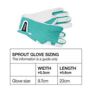 /assets/alt_1/CHW-56750.jpg?20251230161929